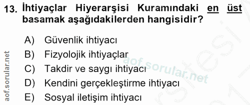 13. soru: İhtiyaçlar Hiyerarşisi Kuramındaki en ust basamak aşağıdakilerden hangisidir? A) Güvenlik ihtiyacı B) Fizyolojik ihti…