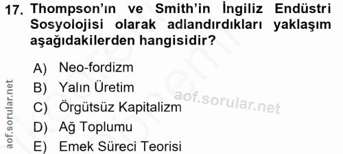 17. soru: Thompson'ın ve Smith'in İngiliz Endüstri Sosyolojisi olarak adlandırdıkları yaklaşım aşağıdakilerden hangisidir? A) N…