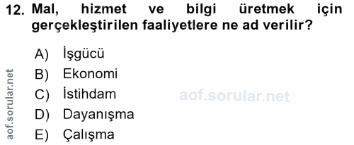 12. soru: Mal, hizmet ve bilgi üretmek için gerçekleştirilen faaliyetlere ne ad verilir? A) İşgücü B) Ekonomi C) Istihdam D) Da…