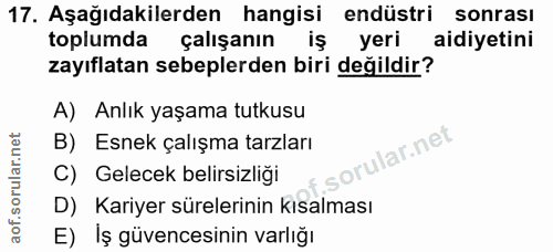 17. soru: Aşağıdakilerden hangisi endüstri sonrası toplumda çalışanın iş yeri aidiyetini zayıflatan sebeplerden biri değildir?…