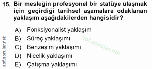 15. soru: Bir mesleğin profesyonel bir statüye ulaşmak için geçirdiği tarihsel aşamalara odaklanan yaklaşım aşağıdakilerden han…