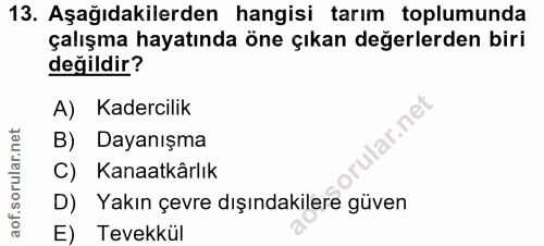 13. soru: Aşağıdakilerden hangisi tarım toplumunda çalışma hayatında öne çıkan değerlerden biri değildir? A) Kadercilik B) Daya…