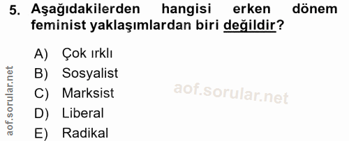 5. soru: Aşağıdakilerden hangisi erken dönem feminist yaklaşımlardan biri değildir? A) Çok ırklı B) Sosyalist C) Marksist D) L…