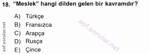 18. soru: "Meslek" hangi dilden gelen bir kavramdır? A) Türkçe B) Fransızca C) Arapça D) Rusça E) Çince