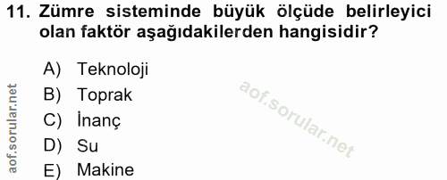 11. soru: Zümre sisteminde büyük ölçüde belirleyici olan faktör aşağıdakilerden hangisidir? A) Teknoloji B) Toprak C) Inanç D)…