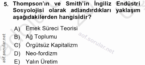 5. soru: Thompson'ın ve Smith'in Ingiliz Endüstri Sosyolojisi olarak adlandırdıkları yaklaşım aşağıdakilerden hangisidir? A) E…