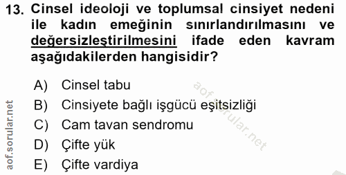 13. soru: Cinsel ideoloji ve toplumsal cinsiyet nedeni ile kadın emeğinin sınırlandırılmasını ve değersizleştirilmesini ifade e…