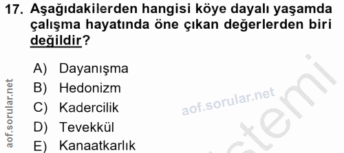 17. soru: Aşağıdakilerden hangisi köye dayalı yaşamda çalışma hayatında öne çıkan değerlerden biri değildir? A) Dayanışma B) He…