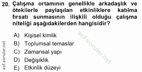 20. soru: Çalışma ortamının genellikle arkadaşlık ve ötekilerle paylaşılan etkinliklere katılma fırsatı sunmasının ilişkili old…