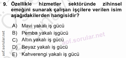 9. soru: Özellikle hizmetler sektöründe zihinsel emeğini sunarak çalışan işçilere verilen isim aşağıdakilerden hangisidir? A)…