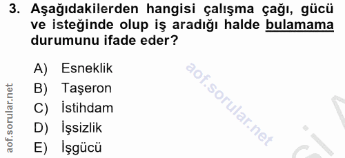 3. soru: Aşağıdakilerden hangisi çalışma çağı, gücü ve isteğinde olup iş aradığı halde bulamama durumunu ifade eder? A) Esnekl…