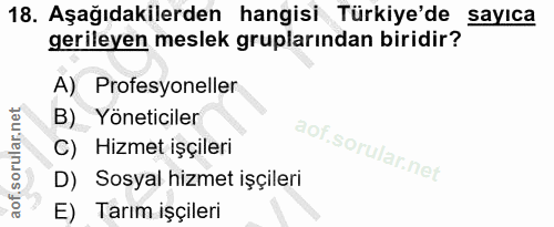 18. soru: Aşağıdakilerden hangisi Türkiye'de sayıca gerileyen meslek gruplarından biridir? A) Profesyoneller B) Yöneticiler C)…