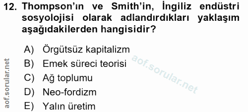 12. soru: Thompson'ın ve Smith'in, Ingiliz endüstri sosyolojisi olarak adlandırdıkları yaklaşım aşağıdakilerden hangisidir? A)…