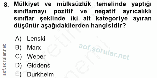 8. soru: Mülkiyet ve mülksüzlük temelinde yaptığı sınıflamayı pozitif ve negatif ayrıcalıklı sınıflar şeklinde iki alt kategor…