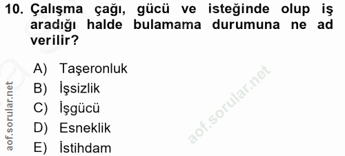 10. soru: Çalışma çağı, gücü ve isteğinde olup iş aradığı halde bulamama durumuna ne ad verilir? A) Taşeronluk B) İşsizlik C) I…