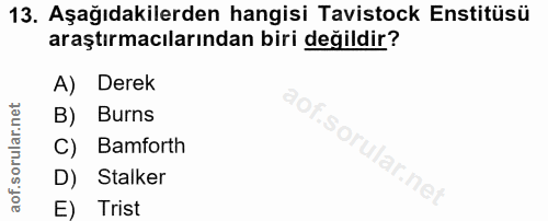 13. soru: Aşağıdakilerden hangisi Tavistock Enstitüsü araştırmacılarından biri değildir? A) Derek B) Burns C) Bamforth D) Stalk…