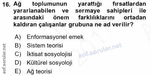 16. soru: Ağ toplumunun yarattığı fırsatlardan yararlanabilen ve sermaye sahipleri ile arasındaki önem farklılıklarını ortadan…