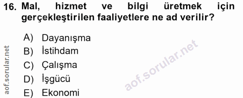 16. soru: Mal, hizmet ve bilgi üretmek için gerçekleştirilen faaliyetlere ne ad verilir? A) Dayanışma B) Istihdam C) Çalışma ao…