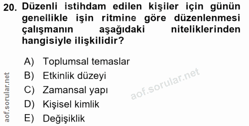 20. soru: Düzenli istihdam edilen kişiler için günün genellikle işin ritmine göre düzenlenmesi çalışmanın aşağıdaki nitelikleri…