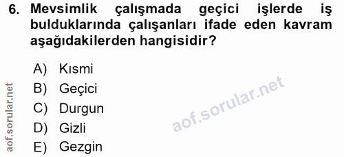6. soru: Mevsimlik çalışmada geçici işlerde iş bulduklarında çalışanları ifade eden kavram aşağıdakilerden hangisidir? A) Kısm…