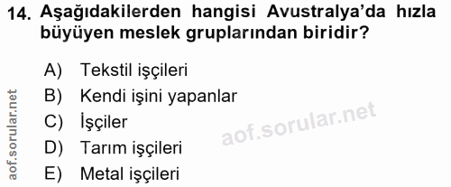 14. soru: Aşağıdakilerden hangisi Avustralya'da hızla büyüyen meslek gruplarından biridir? A) Tekstil işçileri B) Kendi işini y…