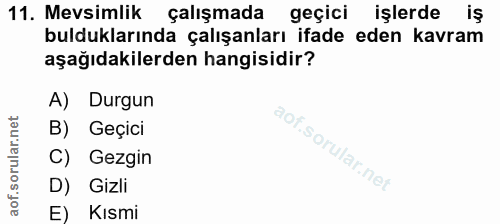 11. soru: Mevsimlik çalışmada geçici işlerde iş bulduklarında çalışanları ifade eden kavram aşağıdakilerden hangisidir? A) Durg…