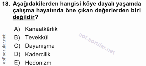 18. soru: Aşağıdakilerden hangisi köye dayalı yaşamda çalışma hayatında öne çıkan değerlerden biri değildir? A) Kanaatkârlık B)…