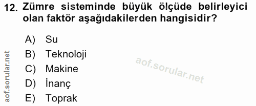 12. soru: Zümre sisteminde büyük ölçüde belirleyici olan faktör aşağıdakilerden hangisidir? A) Su B) Teknoloji C) Makine D) Ina…