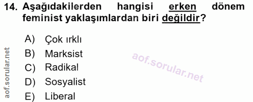 14. soru: Aşağıdakilerden hangisi erken dönem feminist yaklaşımlardan biri değildir? A) Çok ırklı B) Marksist C) Radikal D) Sos…