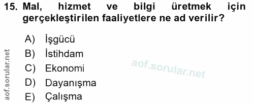 15. soru: Mal, hizmet ve bilgi üretmek için gerçekleştirilen faaliyetlere ne ad verilir? A) İşgücü B) Istihdam C) Ekonomi D) Da…