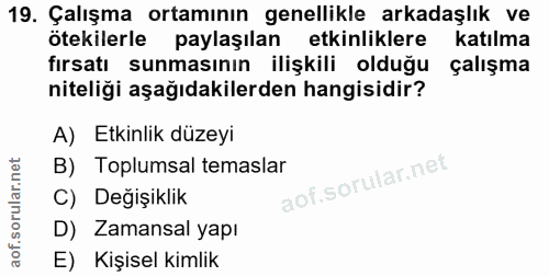 19. soru: Çalışma ortamının genellikle arkadaşlık ve ötekilerle paylaşılan etkinliklere katılma fırsatı sunmasının ilişkili old…