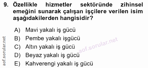 9. soru: Özellikle hizmetler sektöründe zihinsel emeğini sunarak çalışan işçilere verilen isim aşağıdakilerden hangisidir? A)…