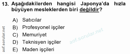 13. soru: Aşağıdakilerden hangisi Japonya'da hızla büyüyen mesleklerden biri değildir? A) Satıcılar B) Profesyonel işçiler Memu…