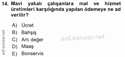 14. soru: Mavi yakalı çalışanlara mal ve hizmet üretimleri karşılığında yapılan ödemeye ne ad verilir? A) Ücret rular.n B) Bahş…