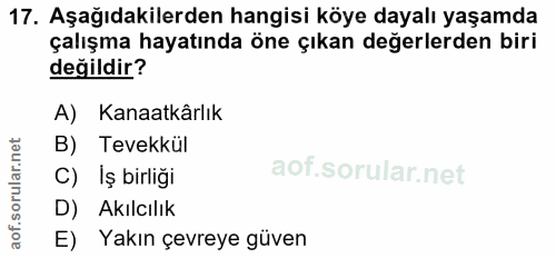 17. soru: Aşağıdakilerden hangisi köye dayalı yaşamda çalışma hayatında öne çıkan değerlerden biri değildir? A) Kanaatkârlık B)…