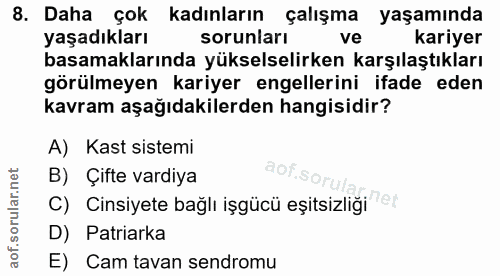 8. soru: Daha çok kadınların çalışma yaşamında yaşadıkları sorunları ve kariyer basamaklarında yükselselirken karşılaştıkları…