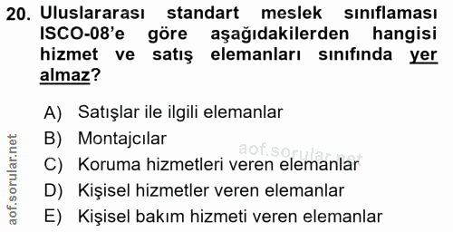20. soru: Uluslararası standart meslek sınıflaması ISCO-08'e göre aşağıdakilerden hangisi hizmet ve satış elemanları sınıfında…