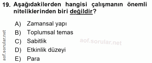 19. soru: Aşağıdakilerden hangisi çalışmanın önemli niteliklerinden biri değildir? A) Zamansal yapı B) Toplumsal temas C) Sabit…