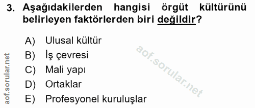 3. soru: Aşağıdakilerden hangisi örgüt kültürünü belirleyen faktörlerden biri değildir? A) Ulusal kültür B) İş çevresi C) Mali…