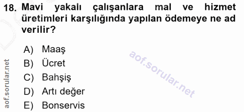 18. soru: Mavi yakalı çalışanlara mal ve hizmet üretimleri karşılığında yapılan ödemeye ne ad verilir? A) Maaş B) Ücret C) Bahş…