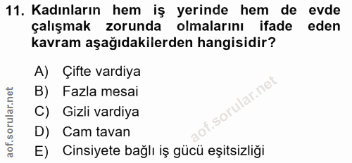 11. soru: Kadınların hem iş yerinde hem de evde çalışmak zorunda olmalarını ifade eden kavram aşağıdakilerden hangisidir? A) Çi…