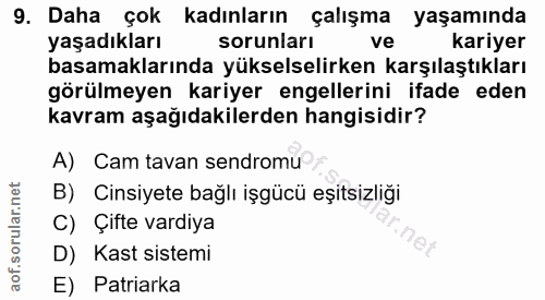 9. soru: Daha çok kadınların çalışma yaşamında yaşadıkları sorunları ve kariyer basamaklarında yükselselirken karşılaştıkları…