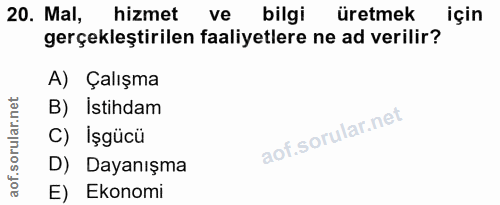 20. soru: Mal, hizmet ve bilgi üretmek için gerçekleştirilen faaliyetlere ne ad verilir? A) Çalışma B) İstihdam C) Işgücü D) Da…