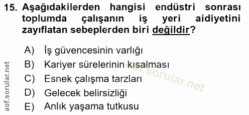 15. soru: Aşağıdakilerden hangisi endüstri sonrası toplumda çalışanın iş yeri aidiyetini zayıflatan sebeplerden biri değildir?…