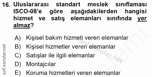 16. soru: Uluslararası standart meslek sınıflaması ISCO-08'e göre aşağıdakilerden hangisi hizmet ve satış elemanları sınıfında…