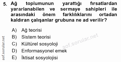 5. soru: Ağ toplumunun yarattığı fırsatlardan yararlanabilen ve sermaye sahipleri ile arasındaki önem farklılıklarını ortadan…
