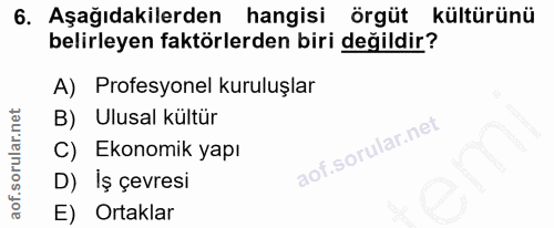 6. soru: Aşağıdakilerden hangisi örgüt kültürünü belirleyen faktörlerden biri değildir? A) Profesyonel kuruluşlar B) Ulusal kü…