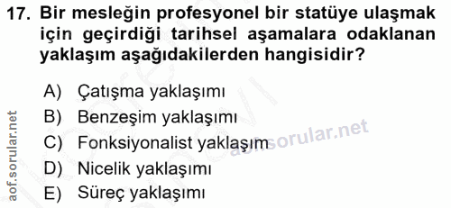 17. soru: Bir mesleğin profesyonel bir statüye ulaşmak için geçirdiği tarihsel aşamalara odaklanan yaklaşım aşağıdakilerden han…