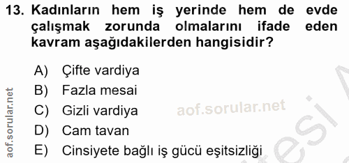 13. soru: Kadınların hem iş yerinde hem de evde çalışmak zorunda olmalarını ifade eden kavram aşağıdakilerden hangisidir? A) Çi…