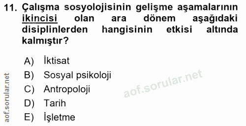 11. soru: Çalışma sosyolojisinin gelişme aşamalarının ikincisi olan ara dönem aşağıdaki disiplinlerden hangisinin etkisi altınd…